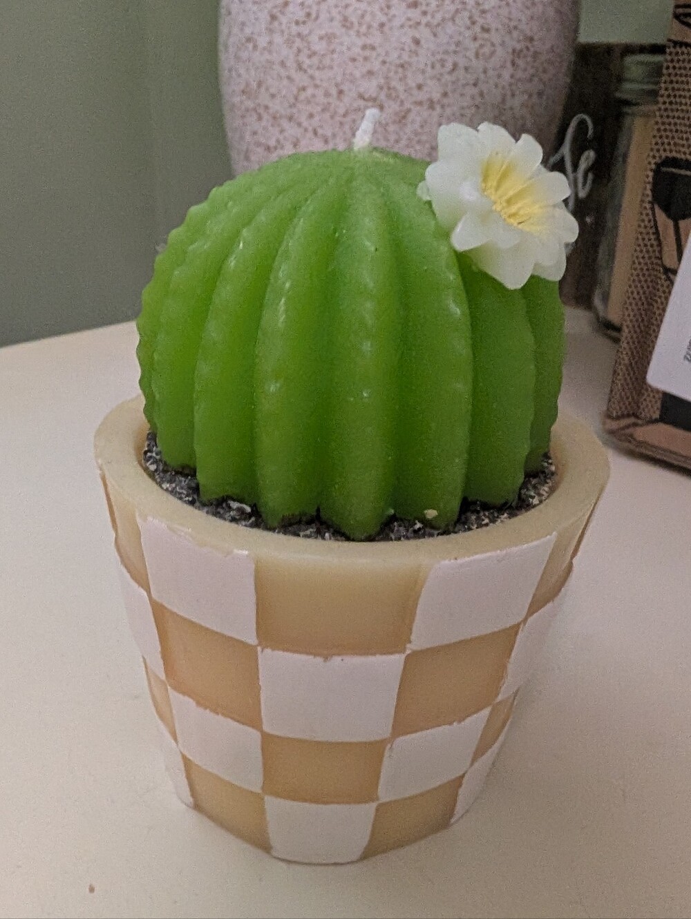 NWT Adorable Cactus Candle